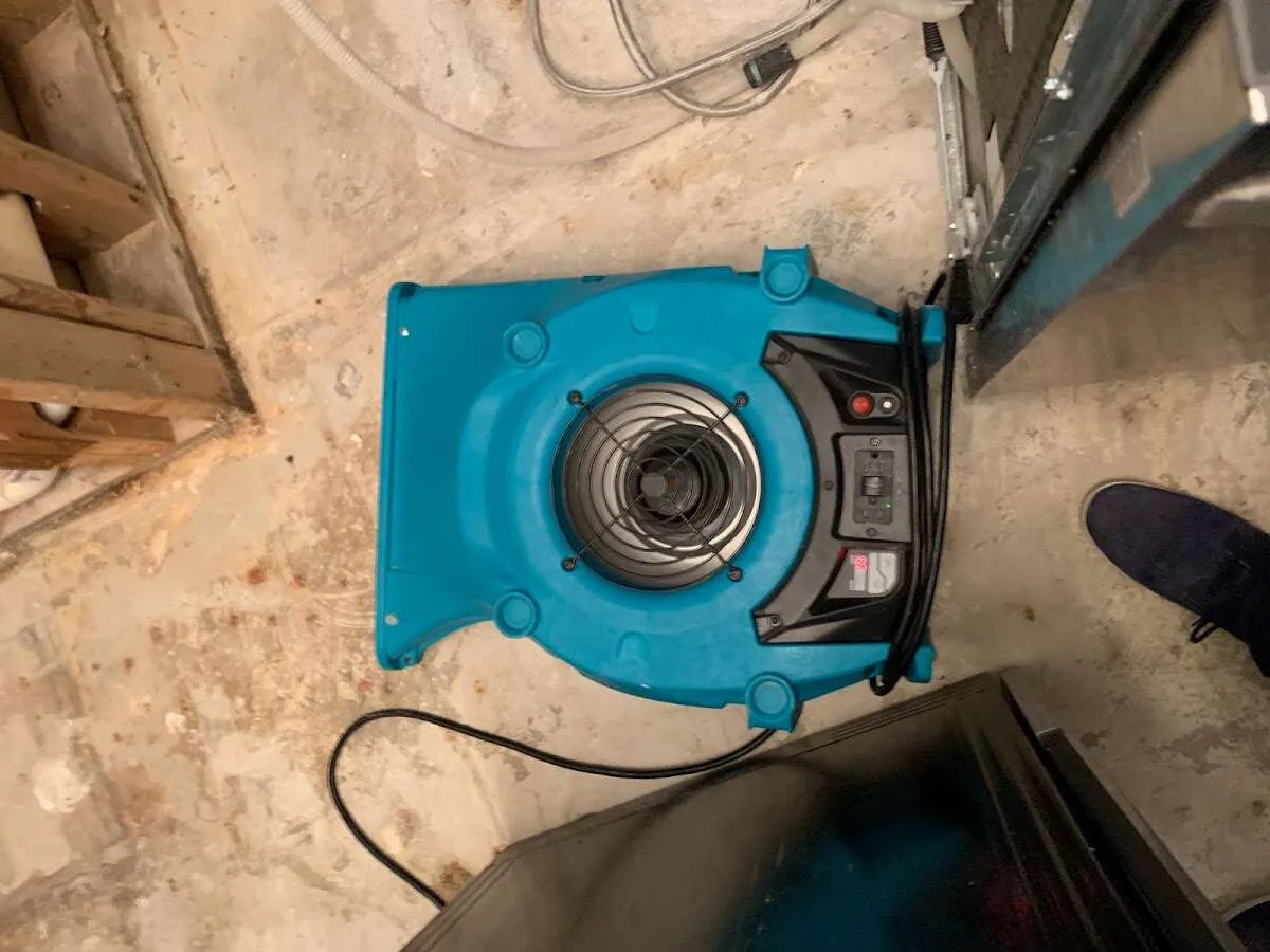 Air mover drying equipment for Mold Remediation & Removal in Pearland