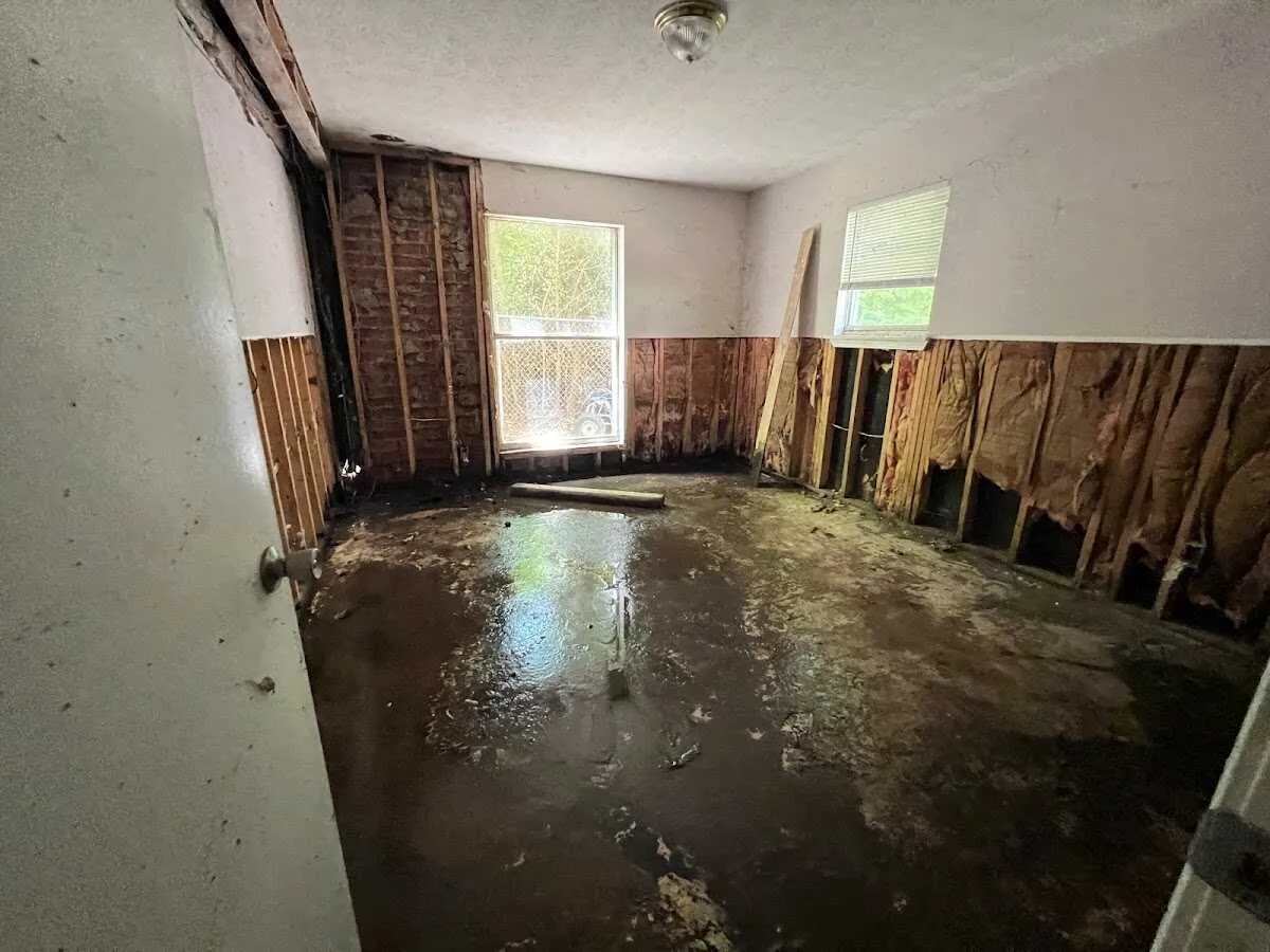 Water Damage Restoration services in Pearland, TX